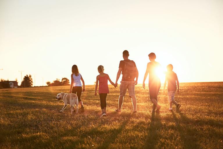 Picture of family walking in a field during a sunset