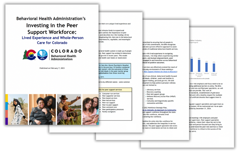 Pages from the Investing in the Peer Support Workforce report